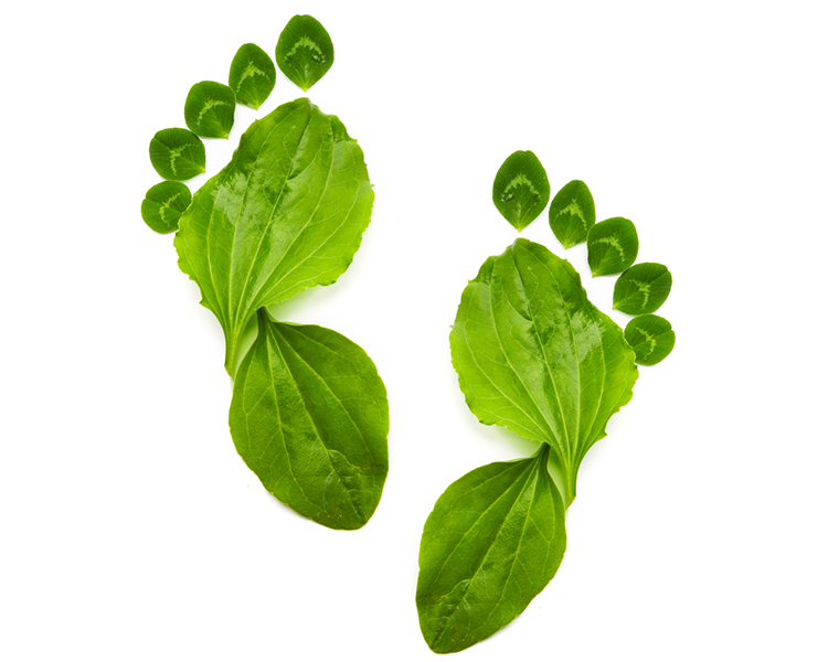 Je ecologische voetafdruk - Live Green Magazine - Healthy you, healthy