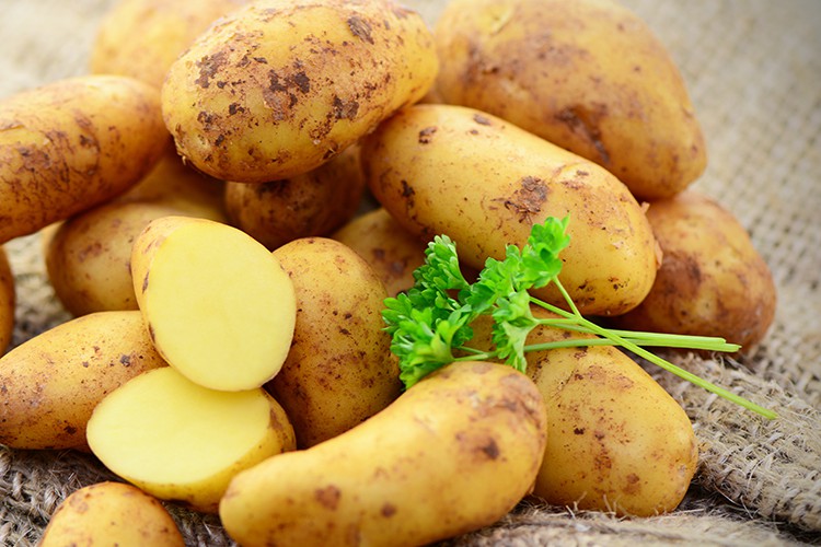 lage-GI-aardappel-Carisma-AdobeStock-photocrew