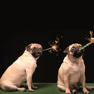 Win! Gun je huisdier ook een gelukkig nieuwjaar met Bach Rescue Remedy Pets