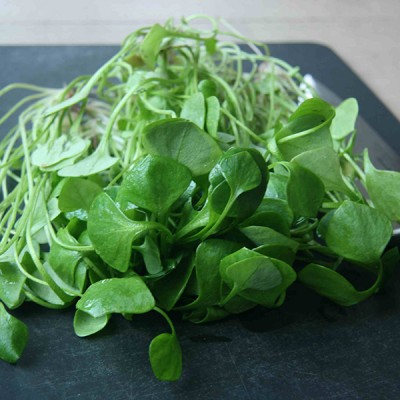 Energiezuinig recept: salade van winterpostelein met rucola