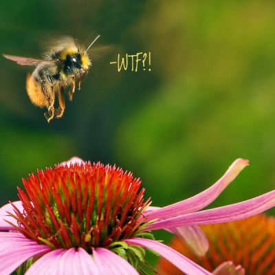 fungicide-live-green-magazine