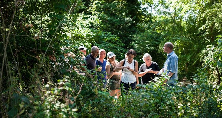 live-green-magazine-oerkruiden