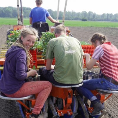 Open dag biologisch-dynamische landbouwschool Warmonderhof