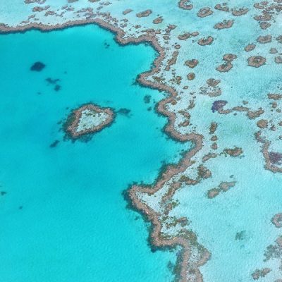 Biologisch en groen nieuws van de week: Groot Barrièrerif sterft af door met CO2 vergiftigd zeewier