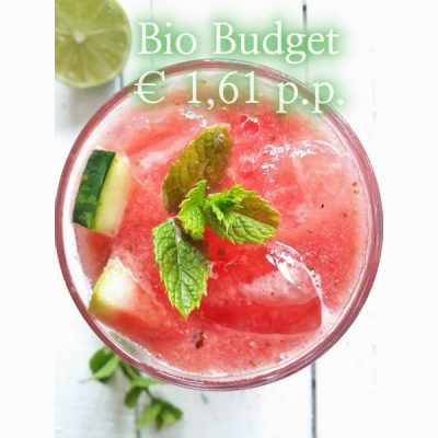 Sandra’s biobudget watermeloen-wodka-cocktail