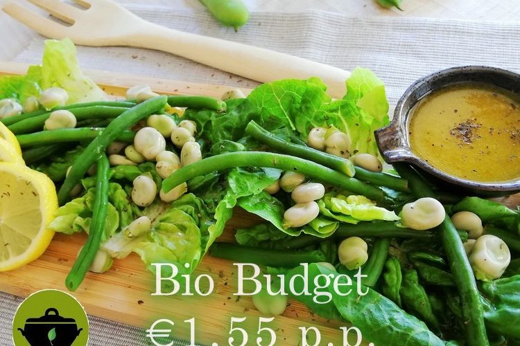 Biobudget vegan moestuinsalade met tuin- en sperciebonen