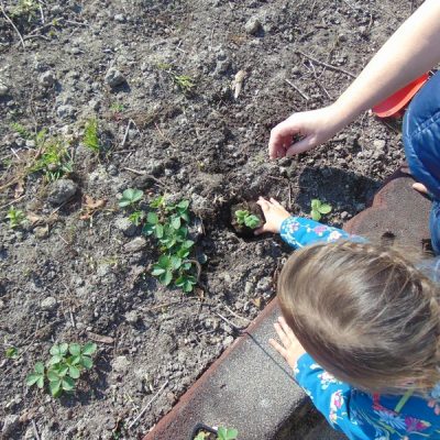 Groene kinderopvang: groente telen, biologisch eten en vies worden