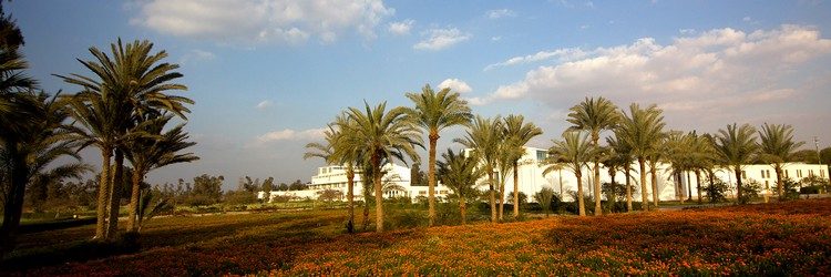 Mooi gebouw in een groene oase met palmbomen waar de mensen van SEKEM wonen en werken