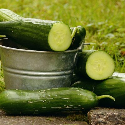 Blog Ellen: Zomertijd-komkommertijd?