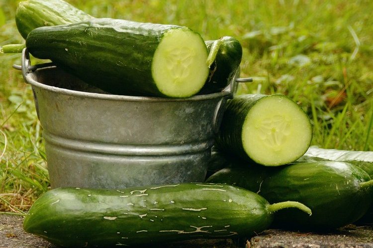 Blog Ellen: Zomertijd-komkommertijd?