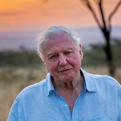 A Life on Our Planet: hoopvolle boodschap van David Attenborough