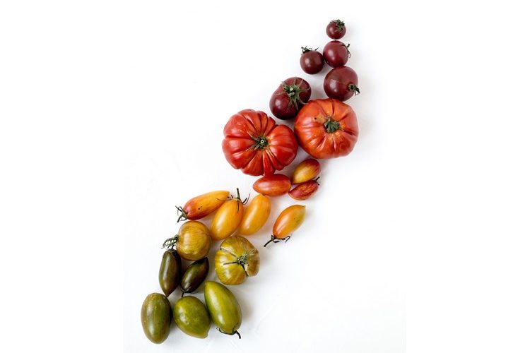 Smaak-teruggeven-aan-groente-en-fruit