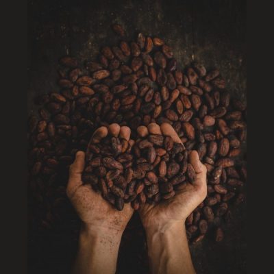 Het verschil tussen rauwe en gewone cacao