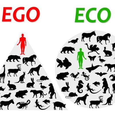 #BioBetekenis: Ego versus Eco