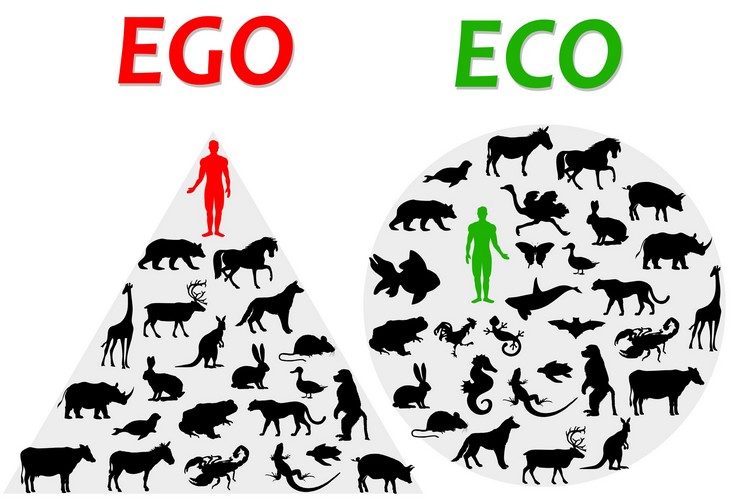 #BioBetekenis: Ego versus Eco