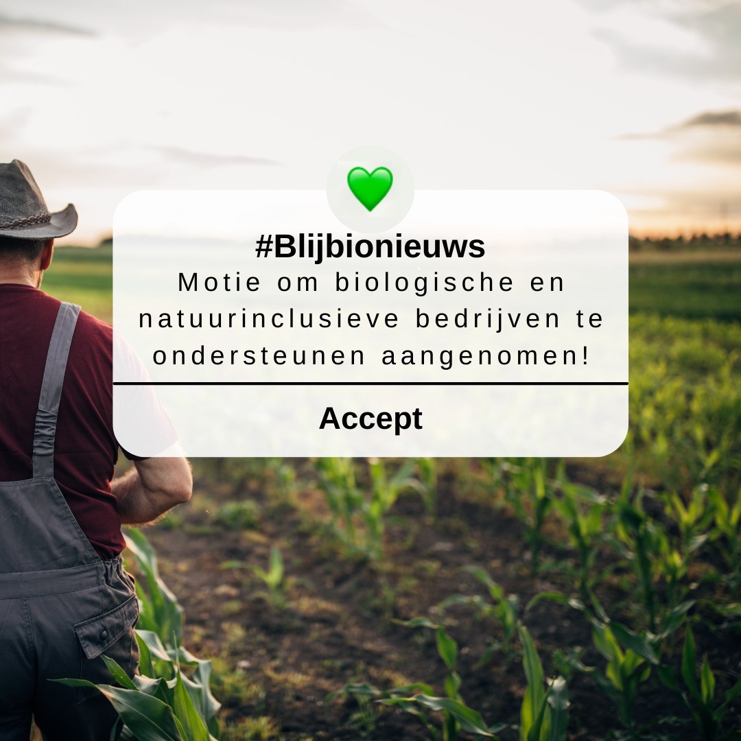 #BlijBioNieuws: steun voor bioboeren!🧑‍🌾⁠
⁠
Sinds de stikstof-plannen zaten ook zij in grote onzekerheid. ⁠
Tijdens het debat hierover is op initiatief van Tjeerd de Groot (D66), samen met VVD en ChristenUnie een motie ingediend om biologische en natuurinclusieve bedrijven te ondersteunen. ⁠
⁠
DEZE IS MET RUIME MEERDERHEID AANGENOMEN!⁠
Bioboeren zijn koplopers. Daar zouden we als consumenten trots op moeten zijn en hen ondersteunen. ⁠
⁠
Hoe? Heel simpel: koop hun producten lokaal of in de (online)supermarkt.🥕🛒⁠