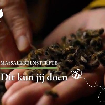 Blogger Jaap: massale bijensterfte is zorgwekkend