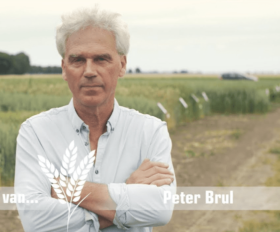 Biologisch landbouwvoorlichter Peter Brul staat bij een graanveld
